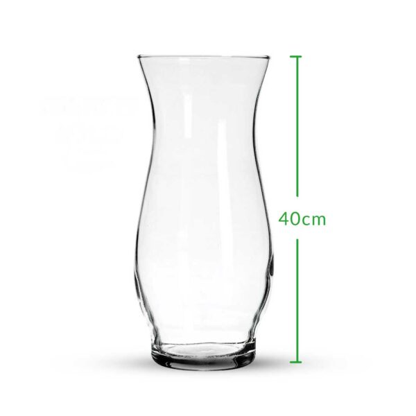 Modern Glass Vase For Indoor Plants