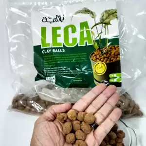 leca-clay-balls-for-houseplants