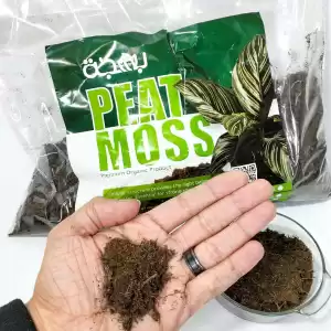 premium quality peat moss